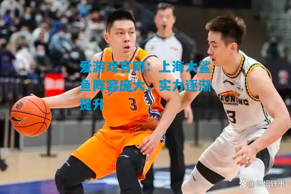 上海大鲨鱼阵容庞大，实力逐渐提升